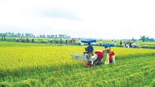 Đưa Nghị quyết Đại hội lần thứ XIII của Đảng vào cuộc sống: Nỗ lực hoàn thành cam kết với quốc tế về phát triển bền vững, xóa đói giảm nghèo 