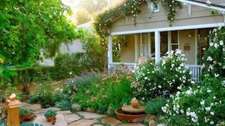 Phong thuỷ sân vườn kỵ trồng cây lớn che lấp nhà ở