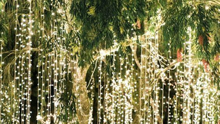 Những ý tưởng đèn dây tuyệt đẹp khiến khu vườn lung linh như cổ tích