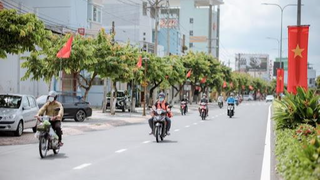 Lựa chọn tối ưu