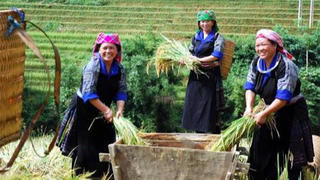 Mở rộng các chương trình xóa đói, giảm nghèo