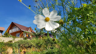 Bỏ phố về Đà Lạt dựng nhà gỗ ven rừng, YouTuber U60 làm kênh du lịch ngàn người theo dõi