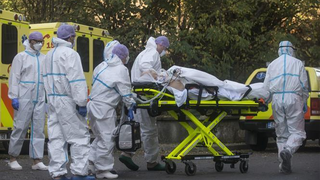 Vẫn là 'mệnh lệnh'