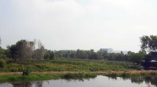 Cần Đước, Long An: Người dân khốn khổ vì bị quy hoạch kéo dài