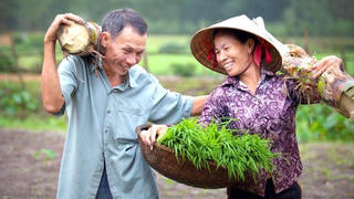 Phạt hành chính trong lĩnh vực bình đẳng giới: Có chấm dứt được định kiến giới trong gia đình?
