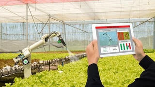 “Chìa khóa” để ngành Nông nghiệp tận dụng những cơ hội sau đại dịch