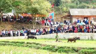 Chộn rộn lễ hội xuống đồng