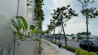 Ai “bảo kê” cho Tân Hiệp Phát vi phạm tại dự án 4 mặt tiền? Đà Nẵng cần xử lý nghiêm theo Chỉ thị 01/CT-TTg của Thủ tướng 