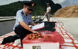'Luật ngầm' ở cửa khẩu: Không có sự chỉ đạo, tiếp tay của Hải quan 