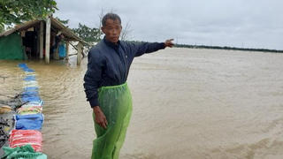 Người đàn ông bất lực nhìn cảnh 7 ha lúa bị nước nhấn chìm