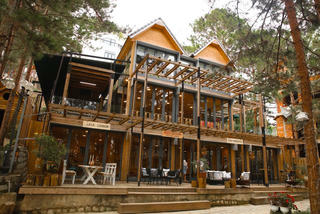 Không phải nhà phố, giới nhà giàu Việt mua đất đồi Đà Lạt xây cơ ngơi bạc tỷ làm của để dành: Vừa...