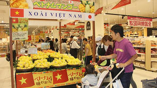 Cầu nối đưa thương hiệu Việt ra thế giới 