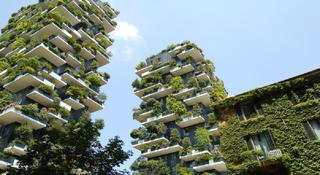 Hút du khách bằng khách sạn xanh và "game hóa"