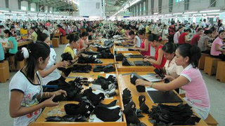 Xu hướng tất yếu