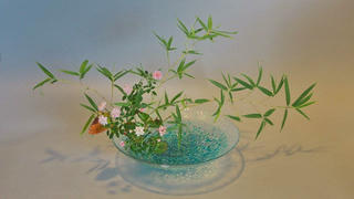 Ikebana - thông điệp về sự sống quý giá