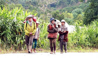 Đề xuất giải pháp chấm dứt tình trạng di cư tự do 