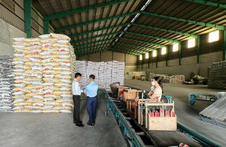 Buôn bán phân bón không đảm bảo chất lượng, 1 cơ sở bị phạt hơn 260 triệu đồng