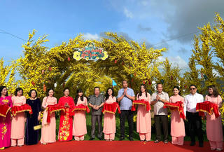 "Check in" cung đường mùa Xuân đẹp lung linh nhân dịp Tết Nguyên đán Quý Mão 2023