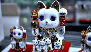 Con mèo được yêu thích nhất