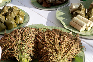 Bảo tồn nghi lễ Tết cơm mới của người Mường Phú Thọ