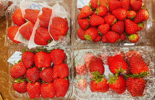 Dâu tây “nhuộm sắc đỏ” trên mạng xã hội, giá rẻ chưa từng có