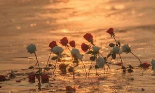 Cho những cuộc chia ly