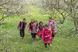 Phát triển du lịch cộng đồng Mộc Châu