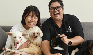 Cặp vợ chồng “tái sinh” đôi chân cho chó, mèo