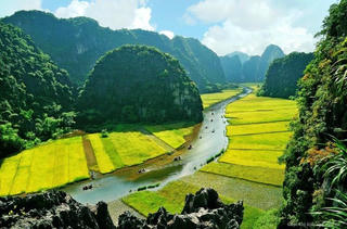 Bởi quá yêu, không thể hát bằng lời