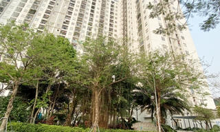 Đề xuất điều kiện được hưởng chính sách nhà ở xã hội