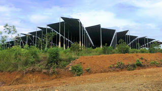 Vụ điện mặt trời “núp bóng” trang trại nông nghiệp tại Quảng Nam: Thanh tra đã chuyển công an điều tra sự việc