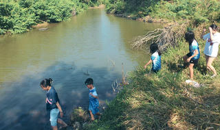 Về với thiên nhiên - Liều thuốc chữa lành cho trẻ nhỏ