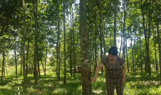 Dự án thủy điện Thượng Nhật (Thừa Thiên Huế): Còn một số vướng mắc trong đền bù, hỗ trợ 