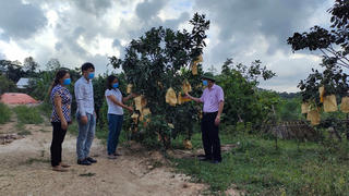 Nguồn vốn chính sách tại Hương Khê (Hà Tĩnh): Góp phần giúp các hộ dân miền núi thoát nghèo