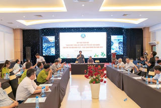 Phú Yên: Mở hướng phát triển dược liệu dưới tán rừng và đất lâm nghiệp