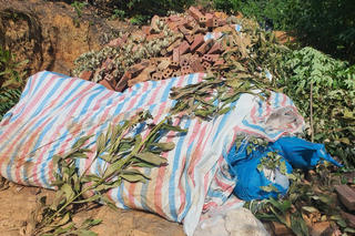 Đồn biên phòng cửa khẩu Hoành Mô phát hiện số lượng lớn thực phẩm không có giấy tờ