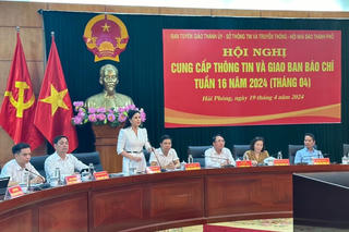 Hải Phòng dự kiến chi khoảng 40-45 tỷ đồng cho Lễ hội Hoa phượng đỏ lần thứ 11