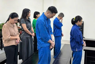 'Nữ quái' lừa mua bán biệt thự và ổ nhóm cho vay lãi nặng lĩnh án