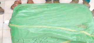 Bắt nhóm đối tượng vận chuyển gần 400kg sâm lậu qua biên giới