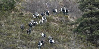 Cơ phó hủy hoại máy bay vì không thể làm phi công?