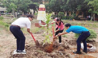 Ươm bàng vuông, nhân tình yêu biển đảo