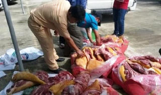 Hà Nội: Phát hiện 500kg thực phẩm đông lạnh không rõ nguồn gốc