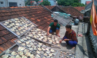 Thanh Hóa: Cá lồng xã đảo Nghi Sơn chết bất thường