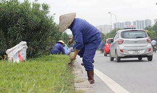 Cỏ dại xâm lấn không gian Thủ đô