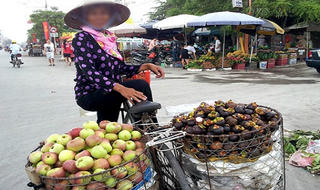 Cẩn trọng với táo Trung Quốc  đội lốt táo Quản Bạ - Hà Giang 