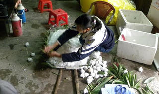 Kỳ lạ 'làng vòng tang'