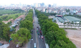 Khi cây hóa tâm hồn