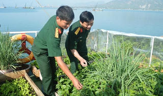 Cuộc sống của những 'soái ca' biển cả