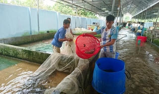 Người mang lại  'nghề chưa từng có'  cho đồng bào dân tộc 