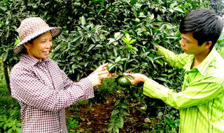 Người phụ nữ vượt qua nỗi đau để làm giàu 